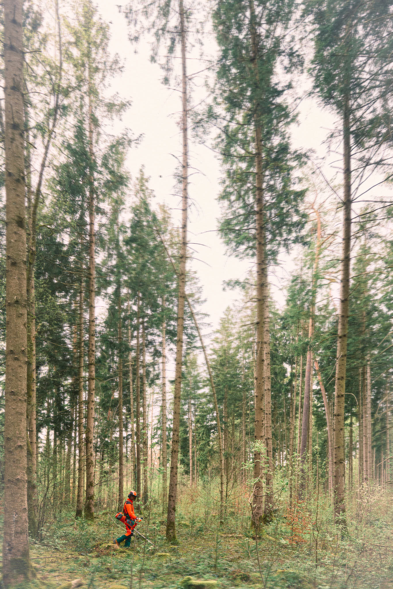 MW_050224_BayForst-0170-1